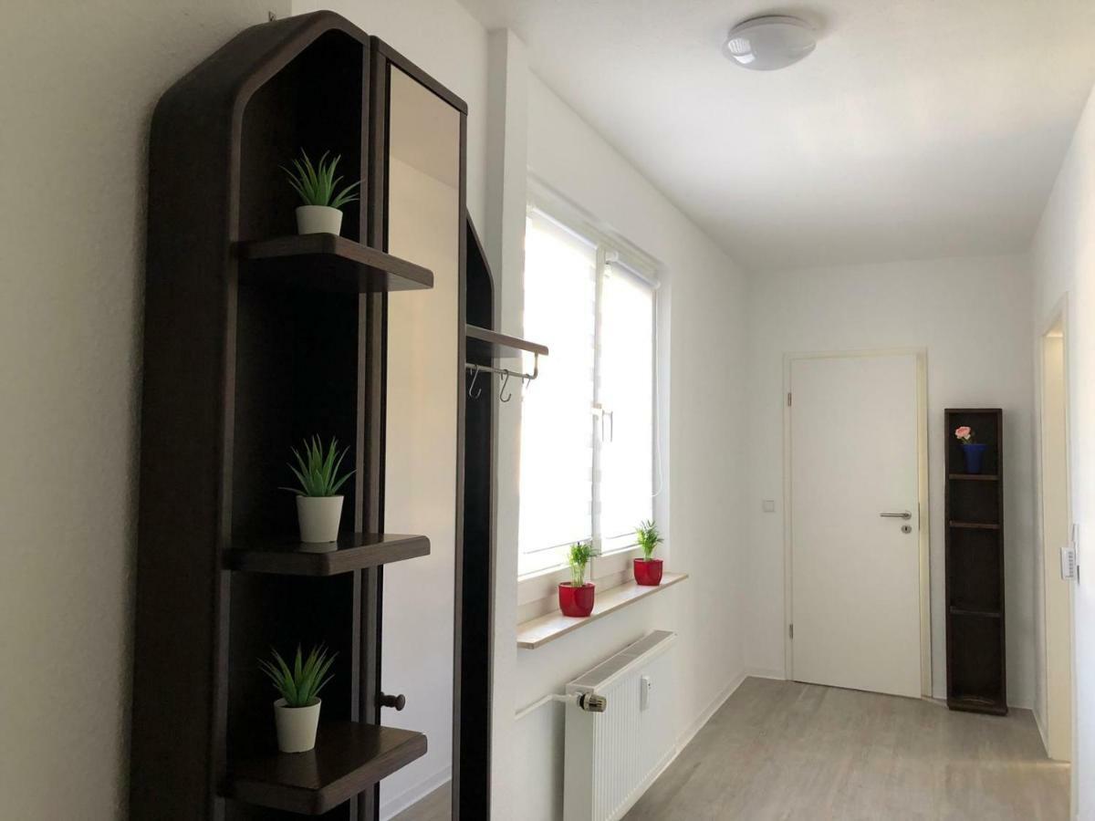 Helle Ferienwohnung An Der Rheinpromenade 50 Qm Duisburg Dış mekan fotoğraf